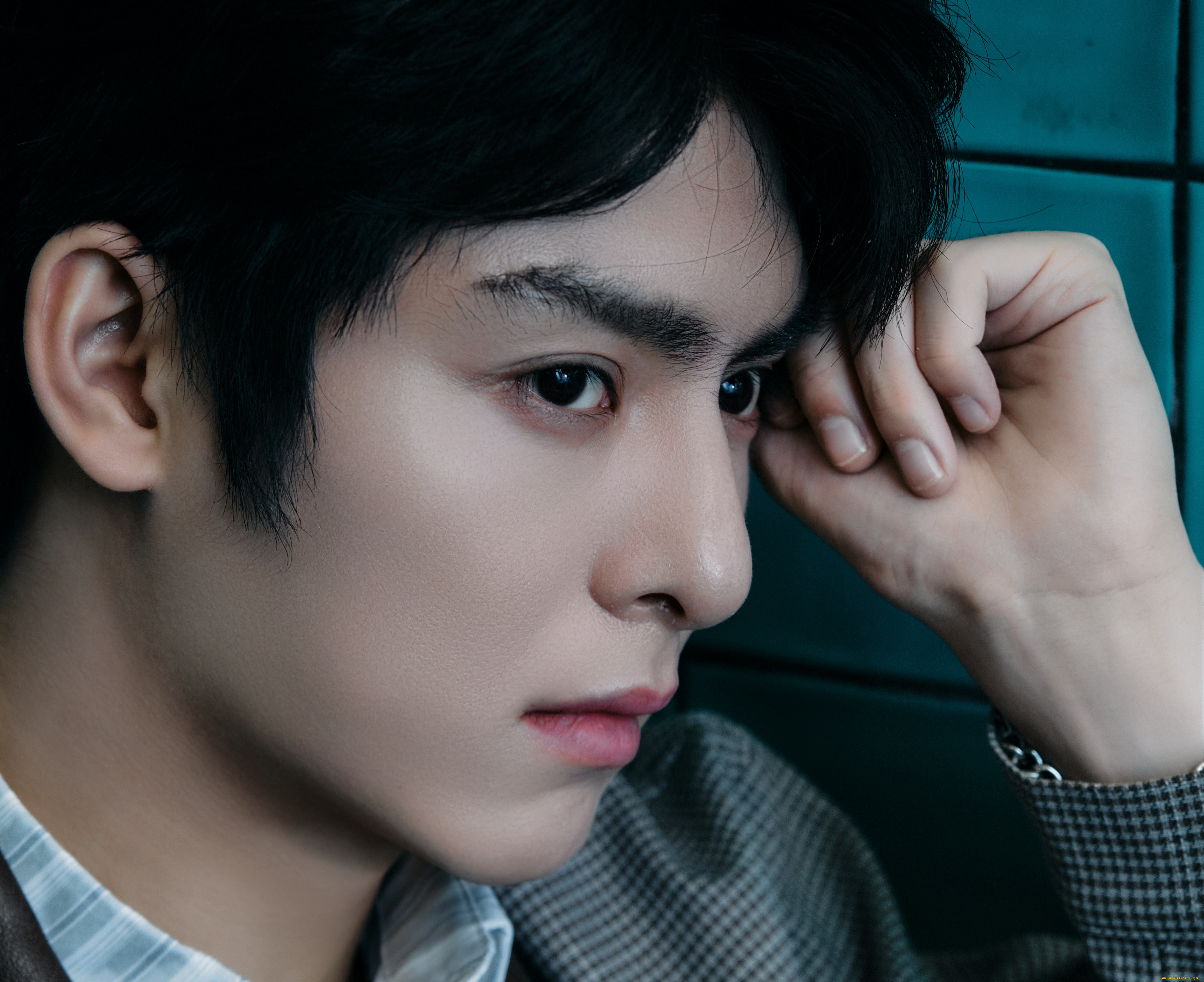 �������, wang hao xuan, ���, ���, �����